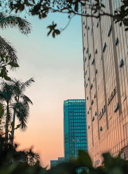 黄昏时分，棕榈树映衬着现代摩天大楼，天空宁静，捕捉到城市的安详