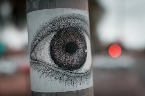 Fotobanka s bezplatnými fotkami na tému betón, bokeh, graffiti