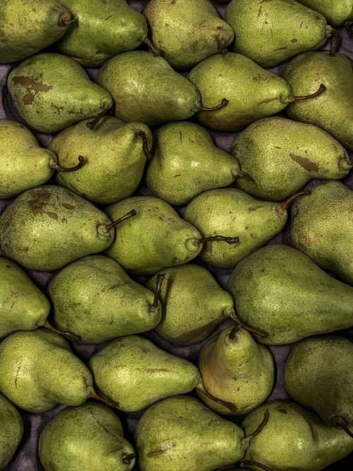 Free A high-angle shot of multiple green pears providing a vibrant textured background. Stock Photo