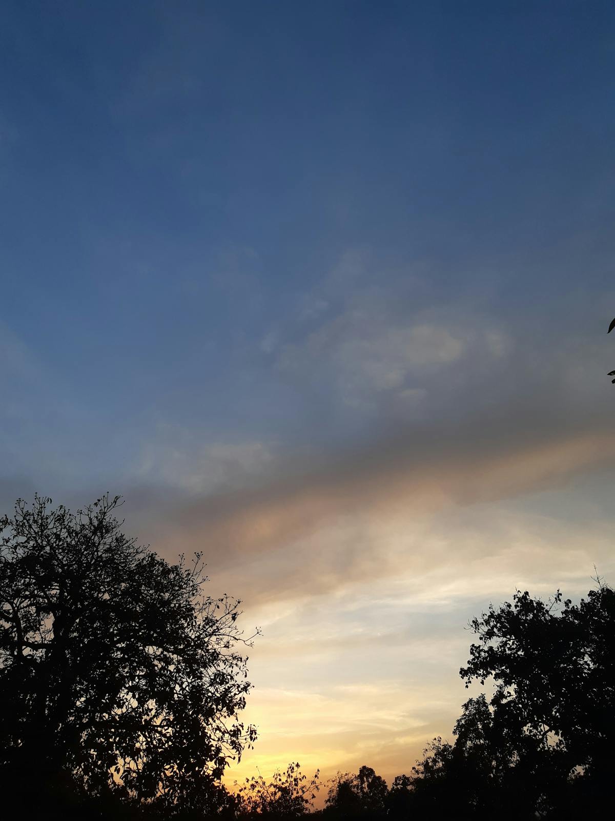 Singer demonstrating vocal registers