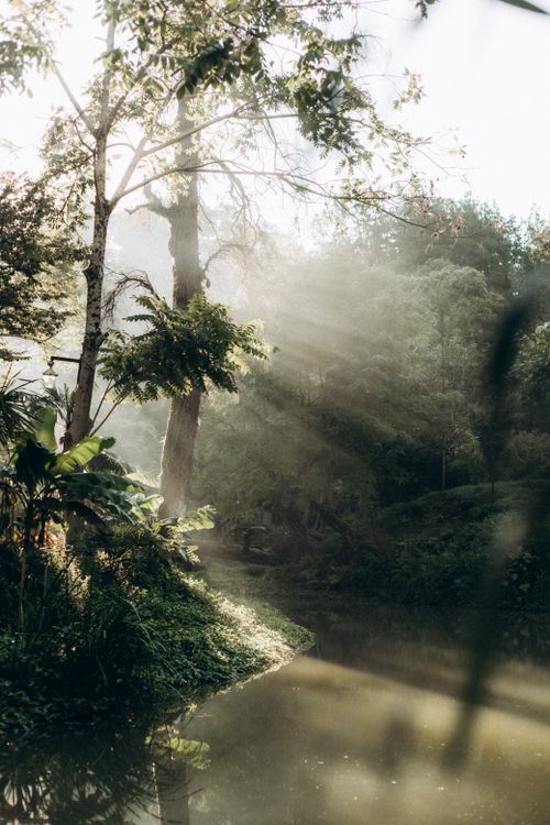 Free A tranquil forest scene with sunlight streaming through trees near a calm pond. Stock Photo