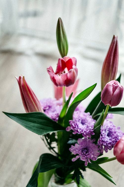 Free A close-up of a vibrant bouquet featuring pink tulips and purple chrysanthemums against a soft focus background. Stock Photo