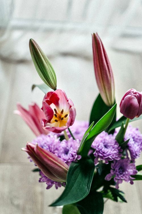 Free A stunning arrangement of pink tulips and lilac blooms captured indoors, radiating elegance and freshness. Stock Photo