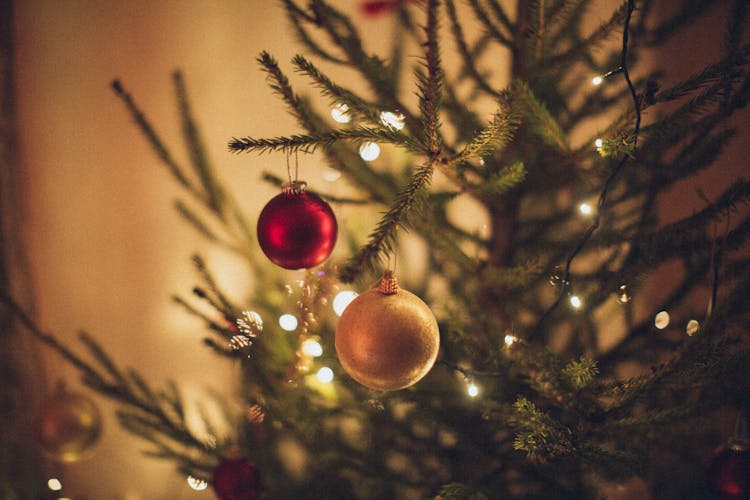 Baubles Hanging  On Green Christmas Tree