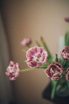 一束精致的粉红色郁金香被柔和的焦点捕捉，营造出梦幻般的氛围