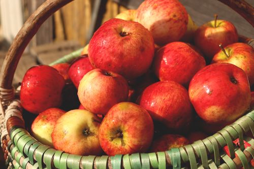 Free A basket full of fresh, ripe red apples sitting outdoors under sunlight. Stock Photo