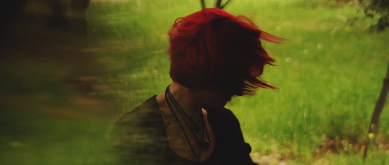 Fotobanka s bezplatnými fotkami na tému červená, vlas, vlasy