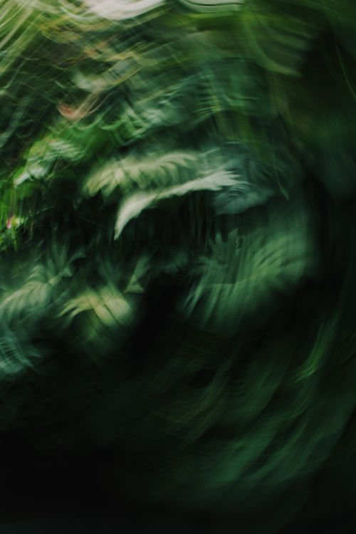 Free A dynamic swirl of green foliage in an abstract motion blur captured outdoors. Stock Photo