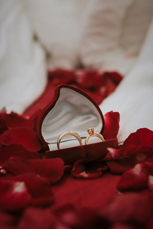 Free Gold Rings on Red Rose Petals Stock Photo