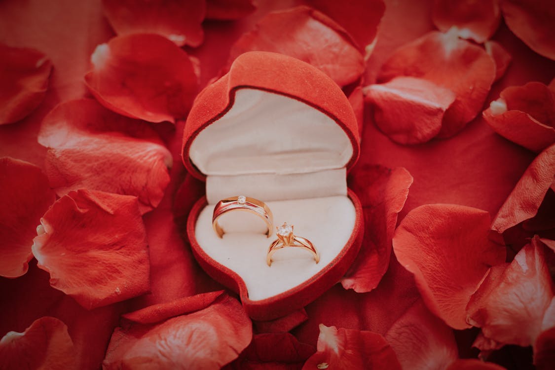 Gold Wedding Band on Red Flower Petals