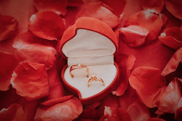 Gold Wedding Band On Red Flower Petals