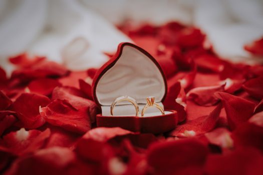 Elegant gold rings in a heart-shaped box surrounded by red rose petals, symbolizing romance and love.