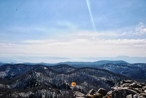 Free stock photo of blue, croatia, forest Stock Photo