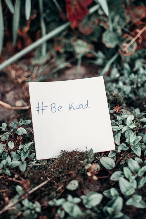 Free White Printer Paper With Be Kind Text on Plants Stock Photo