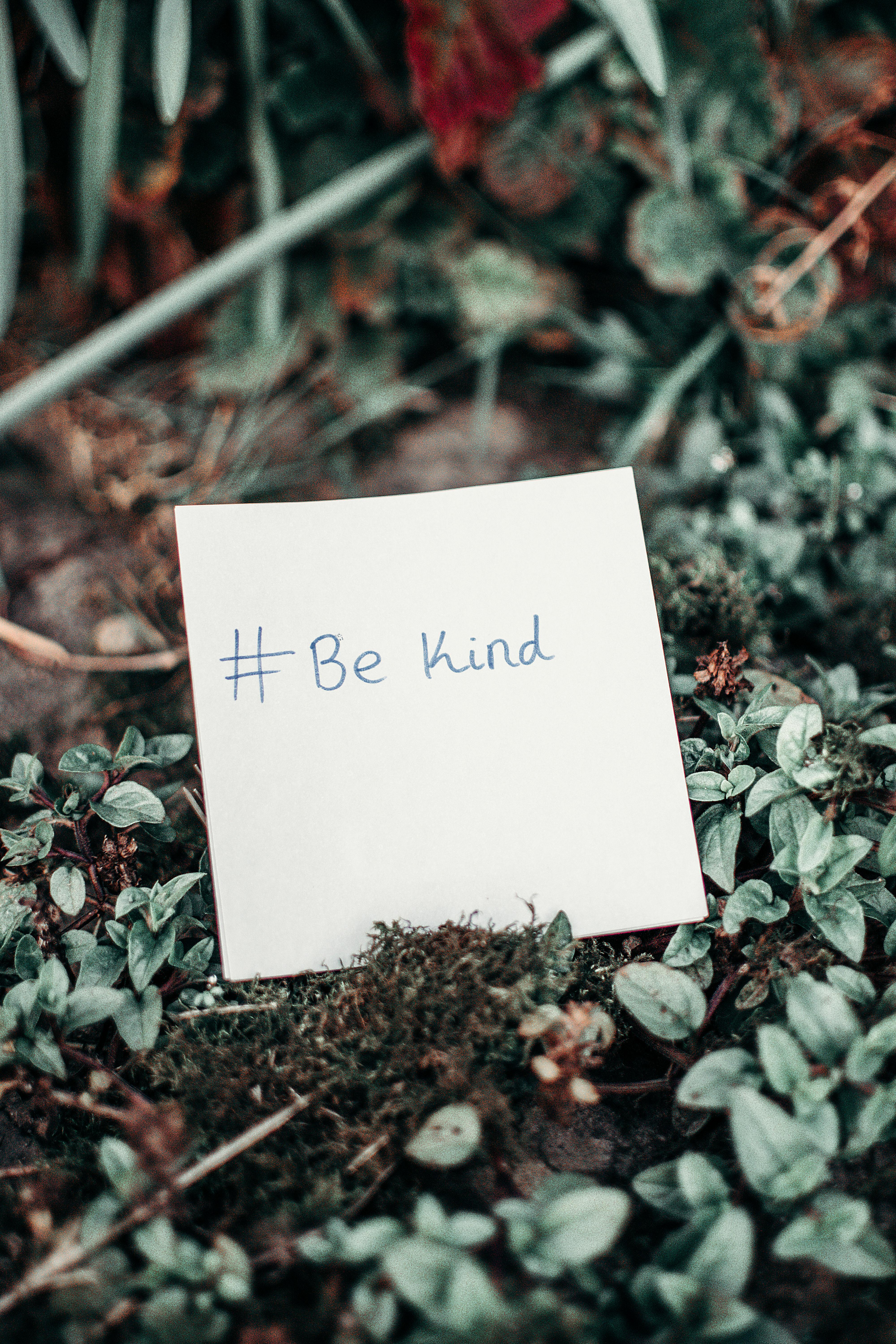 kindness images