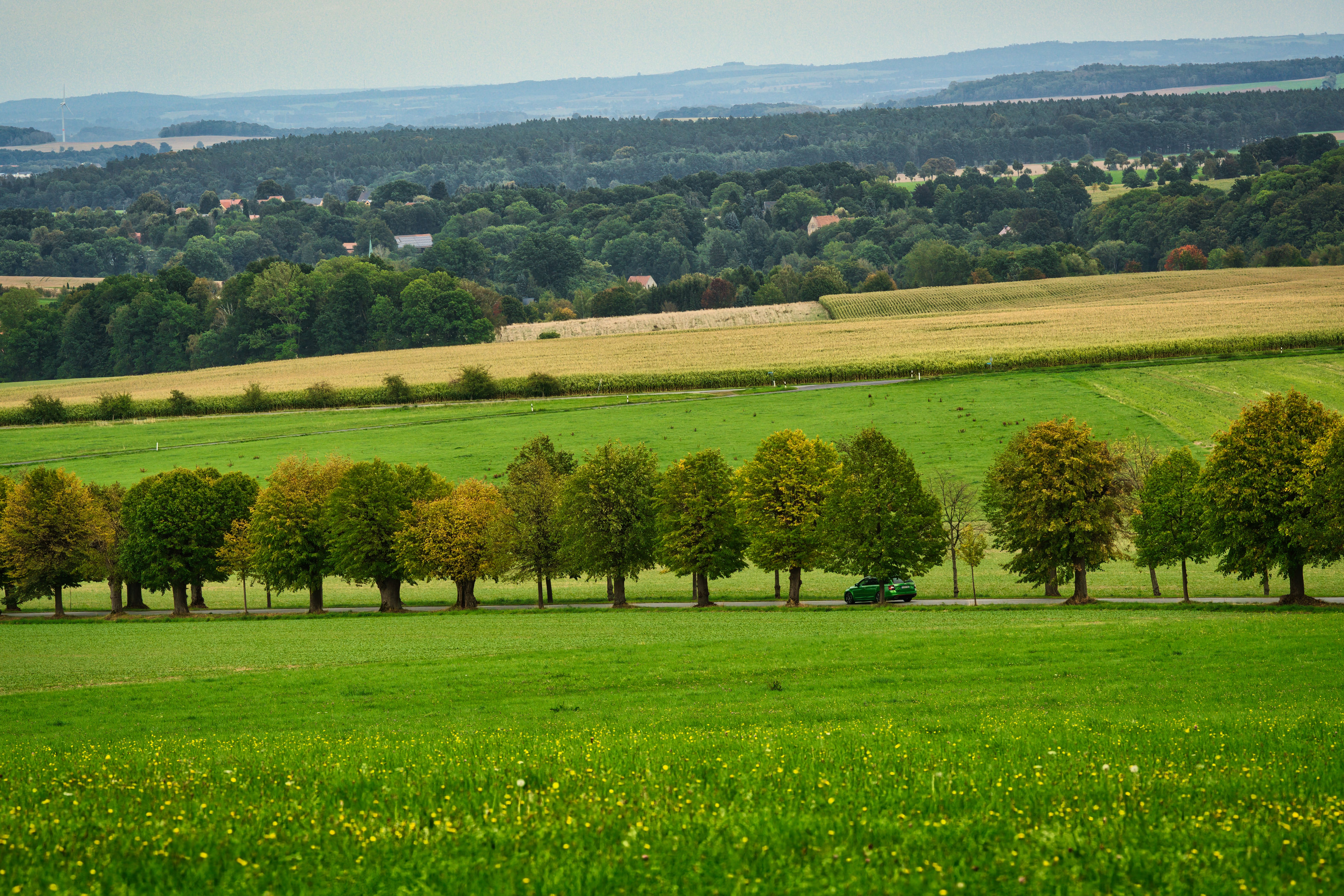 Paysage verdoyant et luxuriant à Herrnhut, en Saxe, offrant une vue sereine sur la campagne environnante.