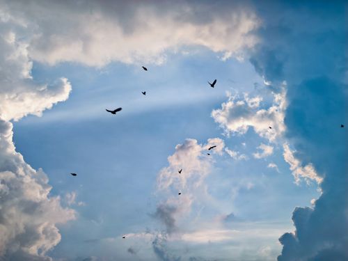 Free A vibrant sky with clouds and birds soaring, capturing a dramatic and serene moment. Stock Photo
