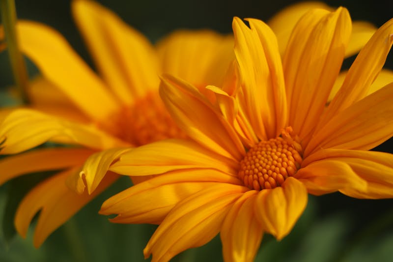 Intensive Driving Lessons