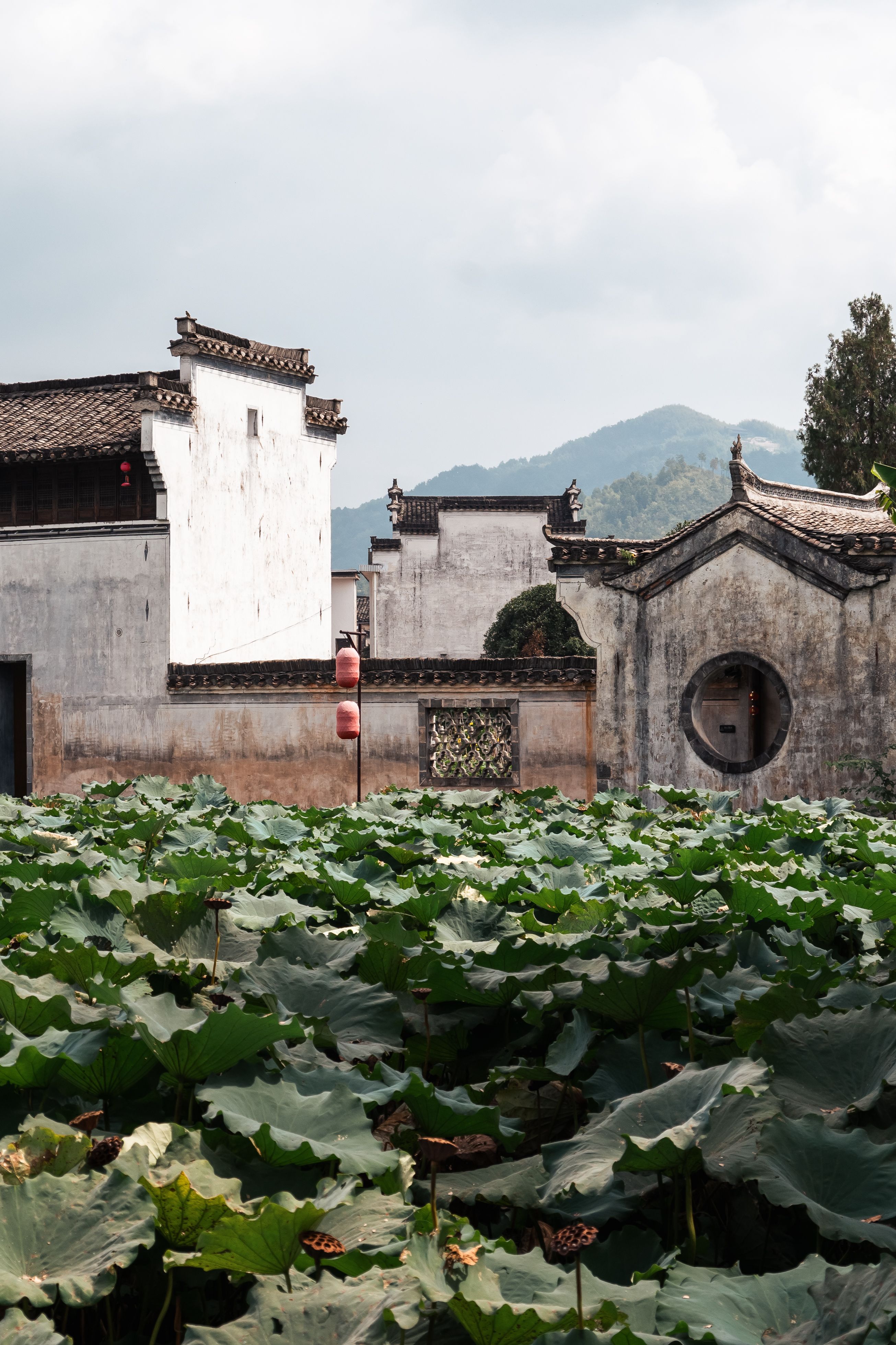 Scenic view of traditional Chinese architecture with lotus pond in Huangshan, Anhui Province.