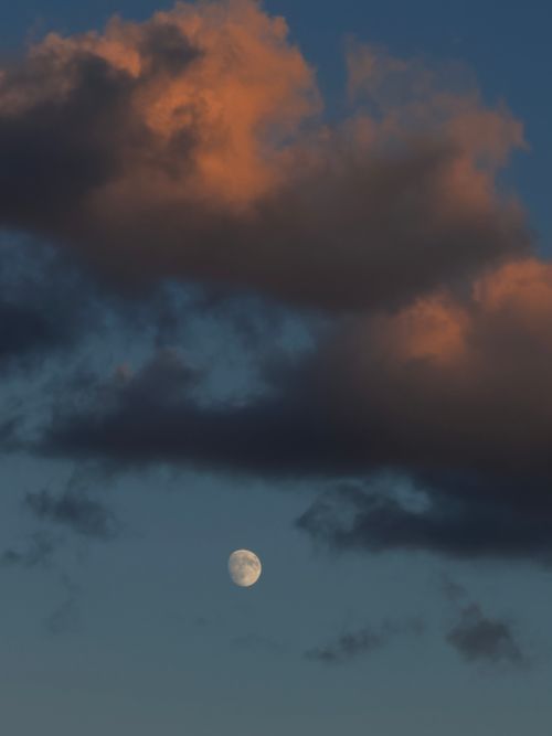 Free A serene twilight scene featuring the moon and vibrant clouds in a deep blue sky. Stock Photo