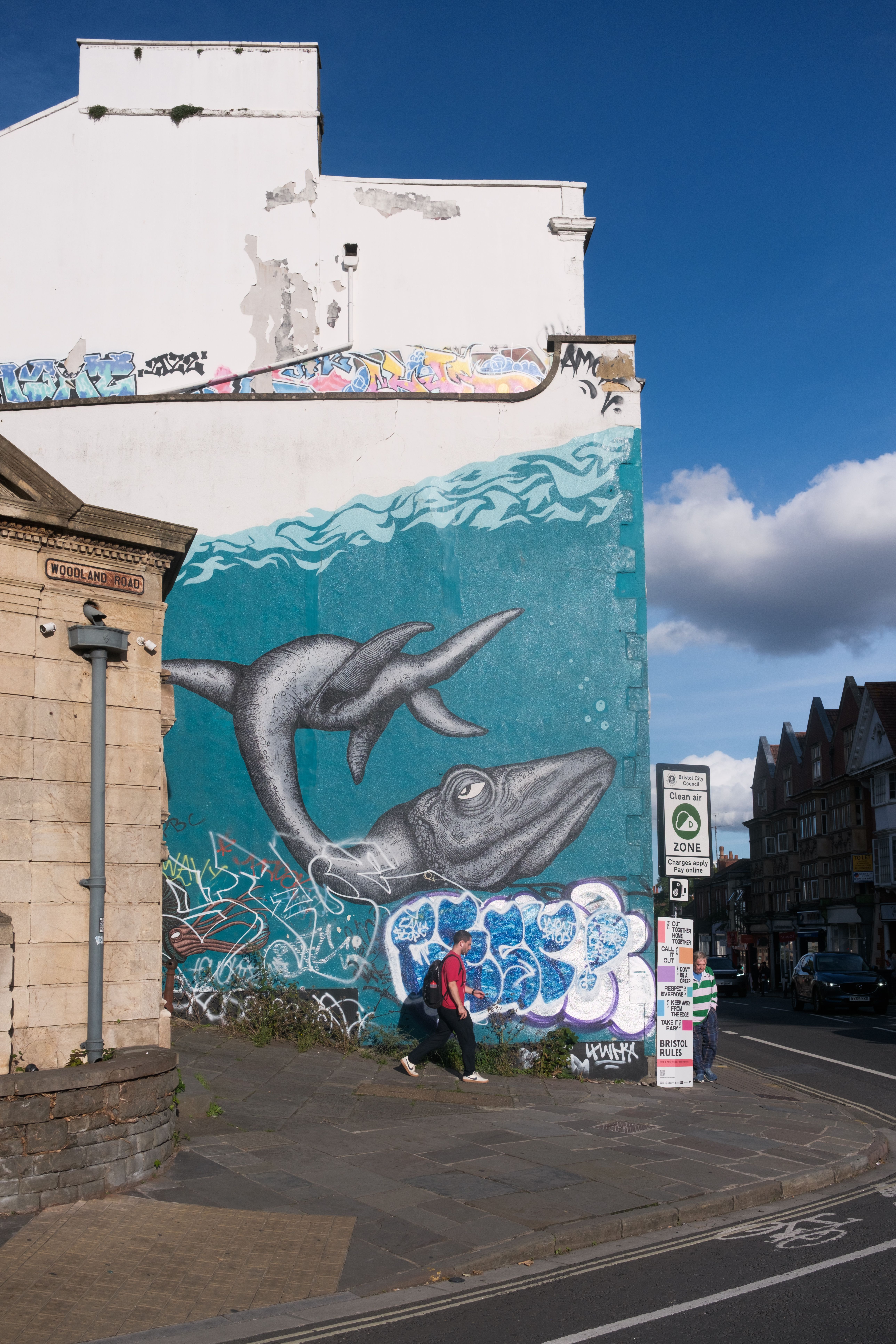 Vibrant whale mural on a city wall in Bristol, capturing urban street art culture.