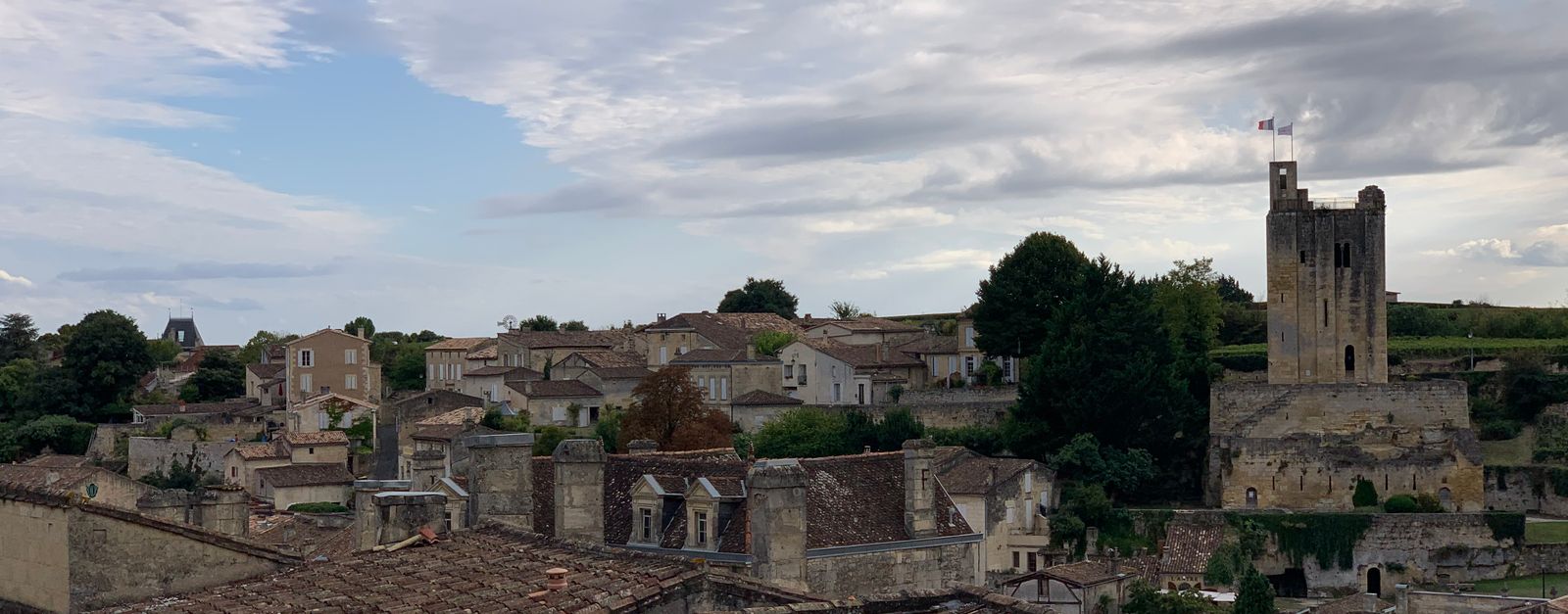 A scenic view of Saint-Émilion with historic rooftops and the iconic medieval tower under a cloudy sky.