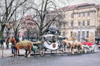 历史名城的鹅卵石街道上，老式马车排列整齐，让人一睹过去的风采