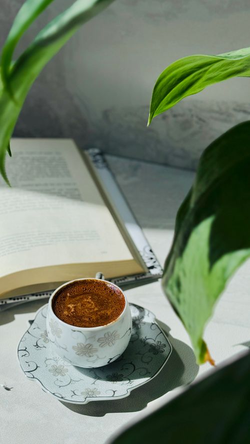 Free Relax in a cozy nook with coffee, surrounded by plants and an open book, creating a serene atmosphere. Stock Photo