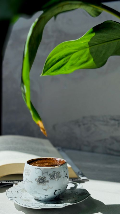 Free A warm coffee cup sits beside an open book, enhanced by natural sunlight and lush foliage overhead. Stock Photo