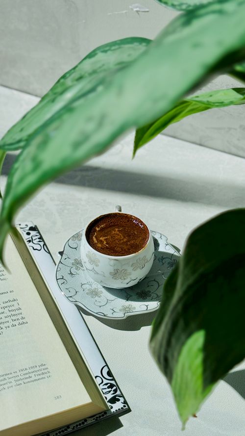 Free A tranquil setup with coffee and book surrounded by lush green leaves under soft natural light. Stock Photo