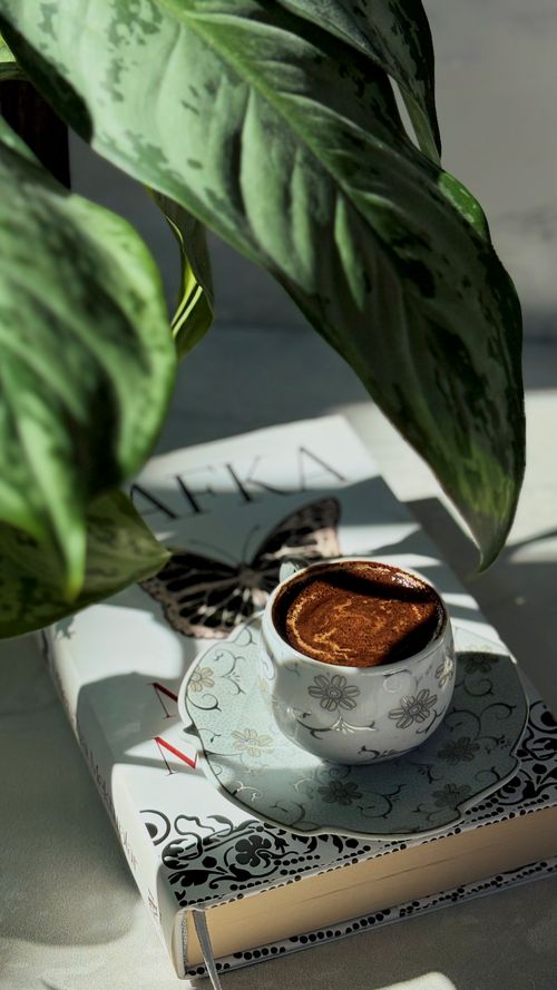 Free Aesthetic ceramic cup of coffee on a decorated book under plant's shadow. Stock Photo