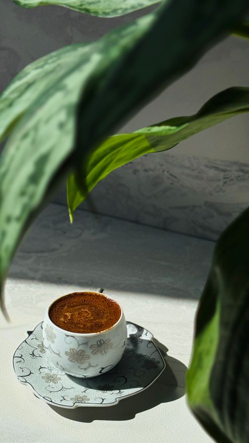 Free A steaming cup of Turkish coffee sits in a floral cup and saucer, framed by indoor plants in soft sunlight. Stock Photo