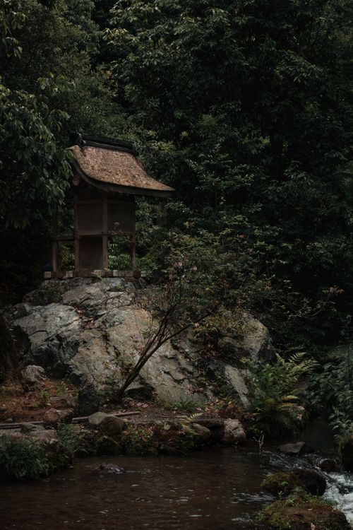 Free A tranquil Japanese shrine nestled in a lush forest surrounded by nature and a gentle stream. Stock Photo