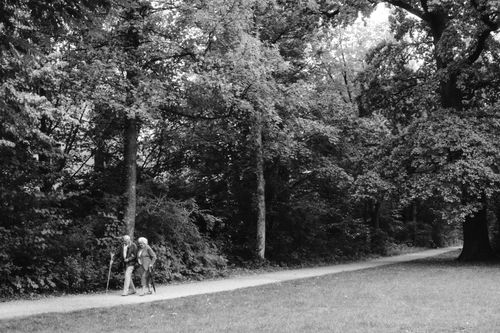 Free Two senior adults walking with canes on a peaceful forest path in black and white. Stock Photo