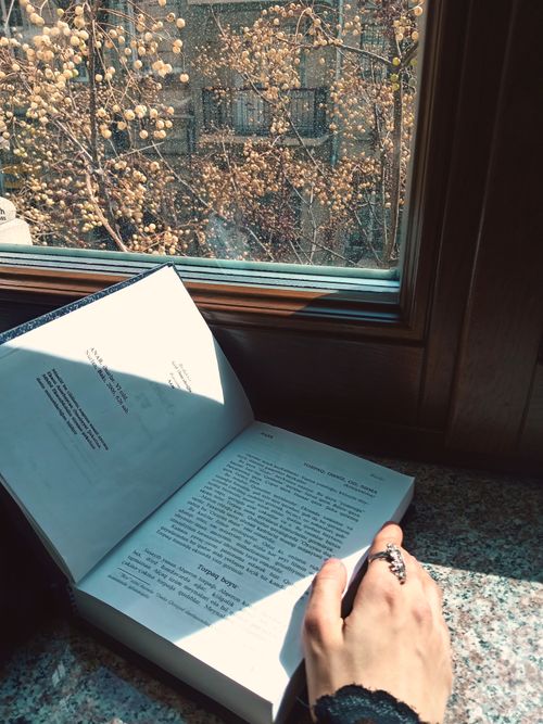 Free A person reads by a window with autumn leaves outside, enjoying a quiet moment. Stock Photo