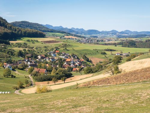 Free Idyllic village nestled in rolling green hills and farmlands under a clear blue sky. Stock Photo
