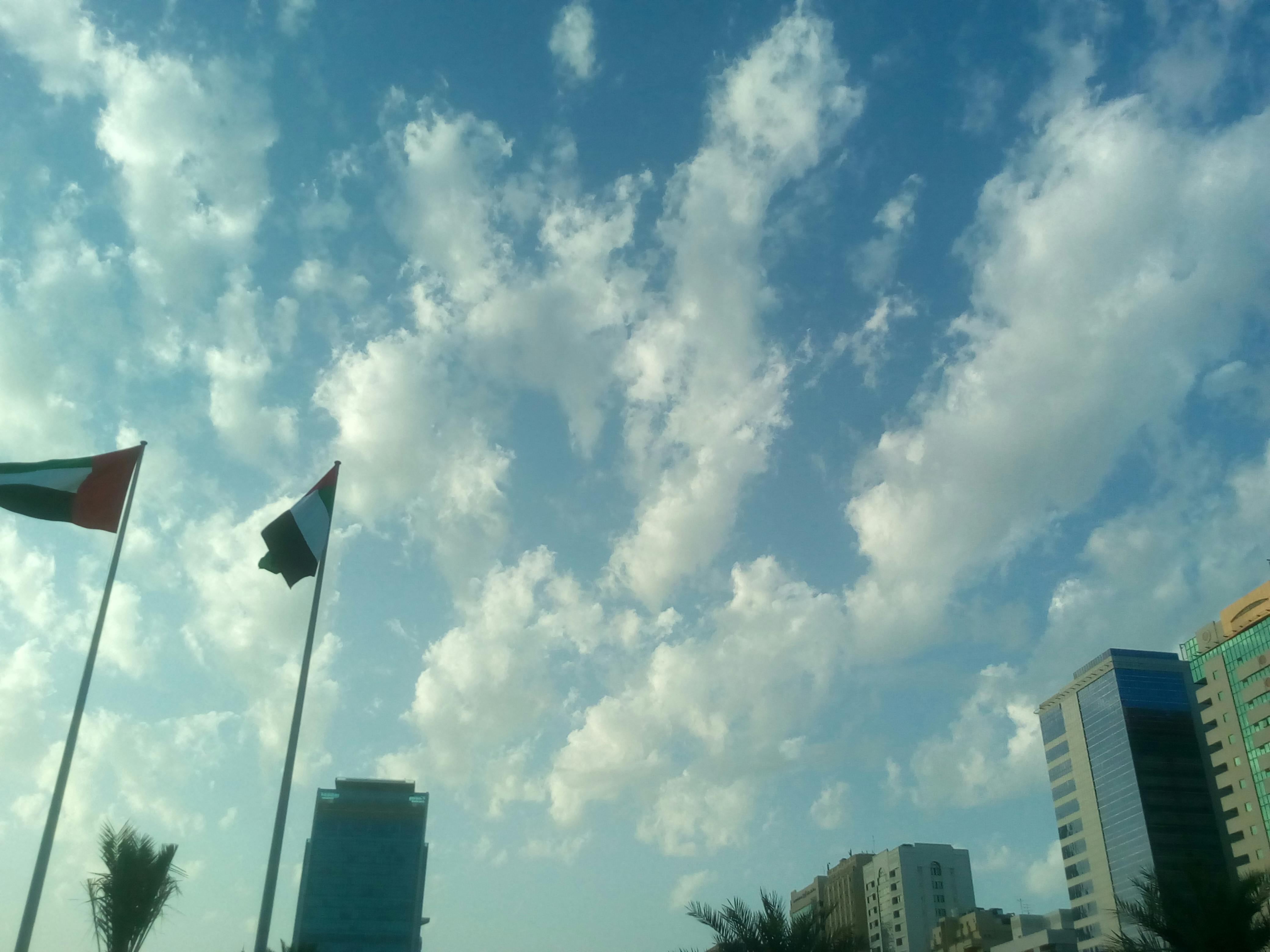 분할납부와 관련된 재정 관리 이미지