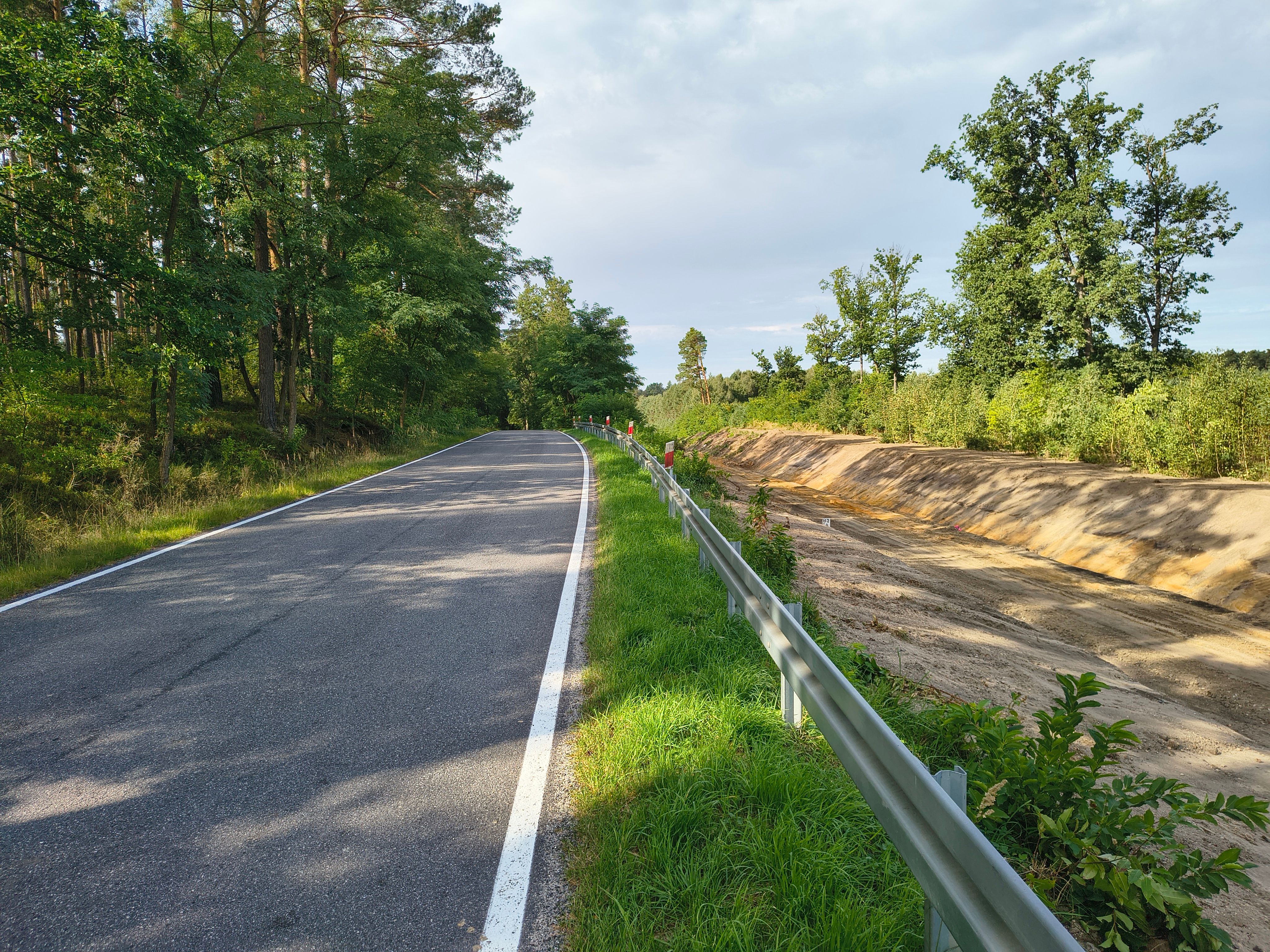 Beautiful forest road with guardrail and sunny skies, ideal for travel imagery.