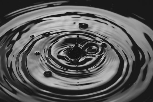 Water Drop in Grayscale Photography