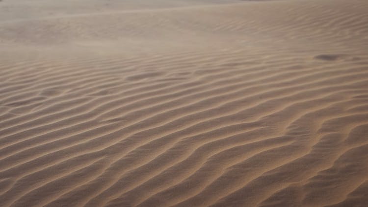 Brown Sand With Water