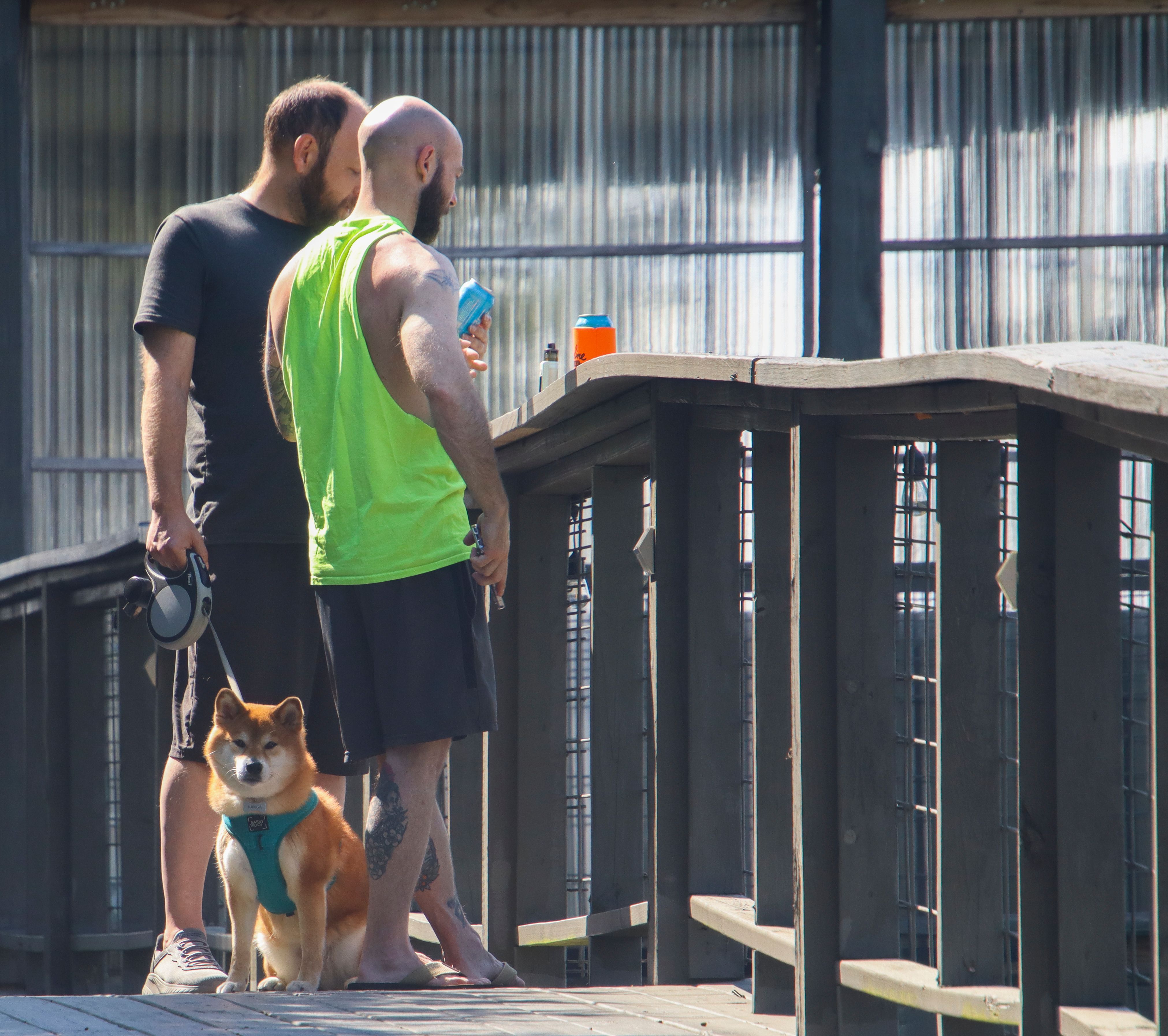 Two men standing with a Shiba Inu dog on a wooden bridge enjoying a sunny day outdoors.