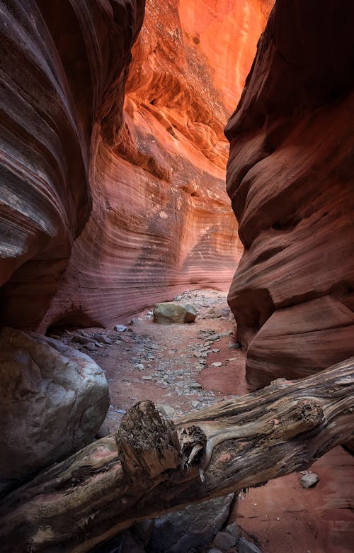 Free stock photo of coloured, desert, light