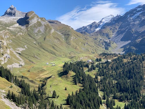 Breathtaking landscape of high green mountains with snowy peaks and coniferous trees on slope against cloudy blue sky