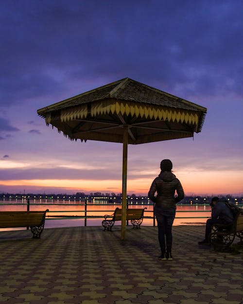 Fotos de stock gratuitas de cachemir, colores en india, dal lake
