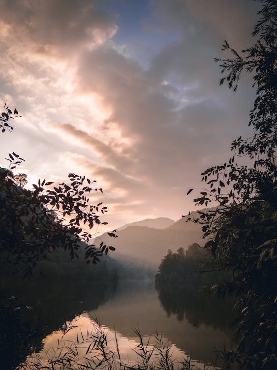 Grüne Bäume Nahe Fluss Unter Bewölktem Himmel