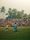 football crowd