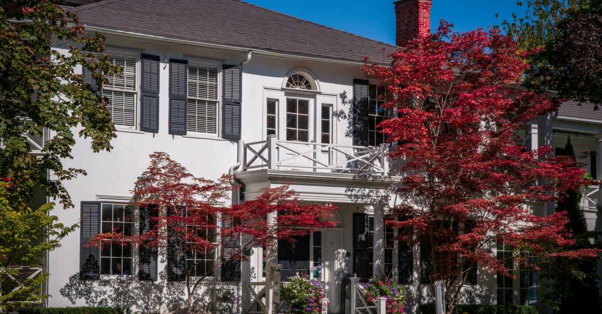 Charming suburban house surrounded by colorful autumn trees under clear blue sky.