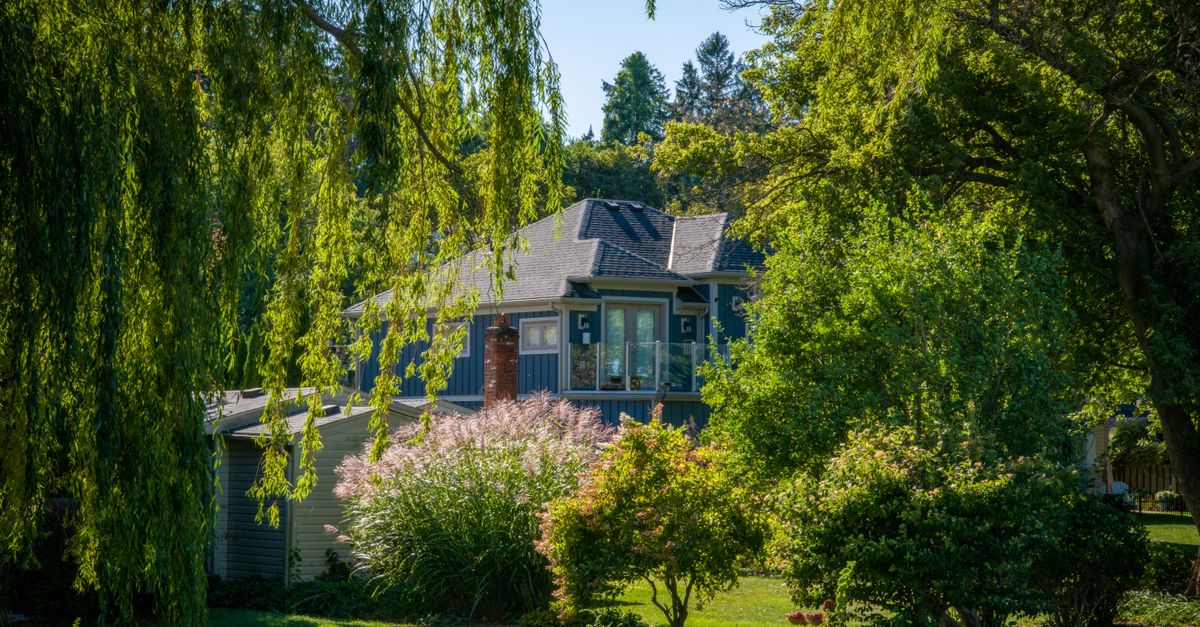 A serene house nestled among vibrant trees and gardens on a sunny day, showcasing natural beauty.