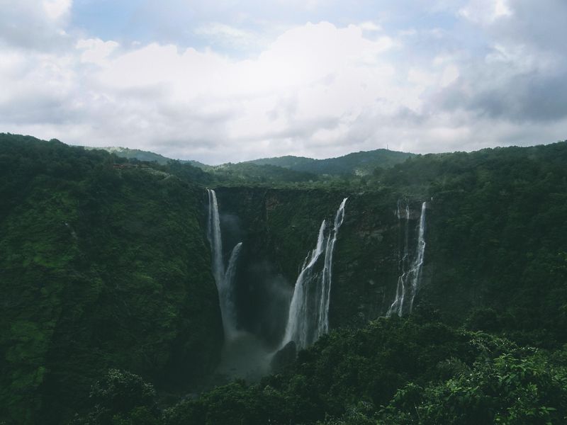 A waterfall in a green forest