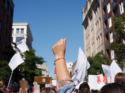 Free Raised fist amidst a vibrant crowd during a daytime protest in Montreal, Quebec, symbolizing unity and activism. Stock Photo